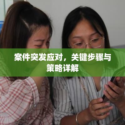 公证管理 第52页