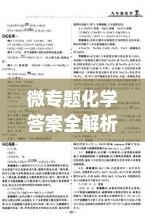 微专题化学答案全解析，知识点一网打尽