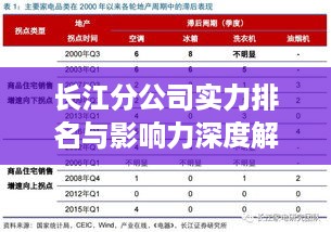 长江分公司实力排名与影响力深度解析