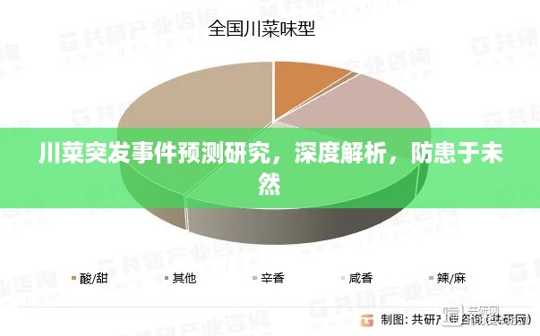 川菜突发事件预测研究，深度解析，防患于未然