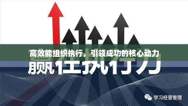 高效能组织执行，引领成功的核心动力