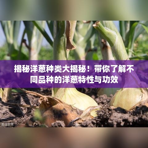 2025年4月 第131页