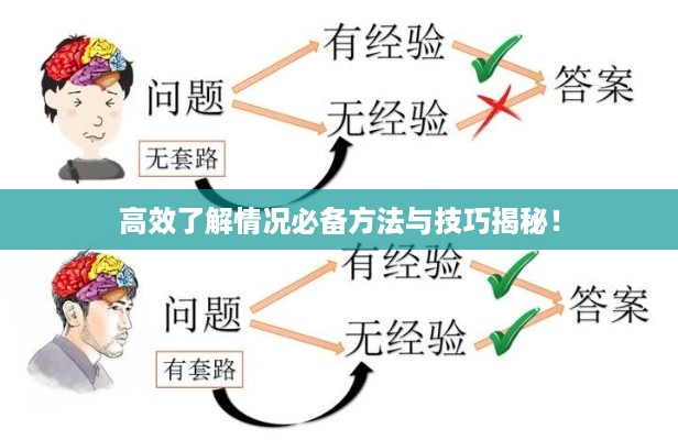 高效了解情况必备方法与技巧揭秘！
