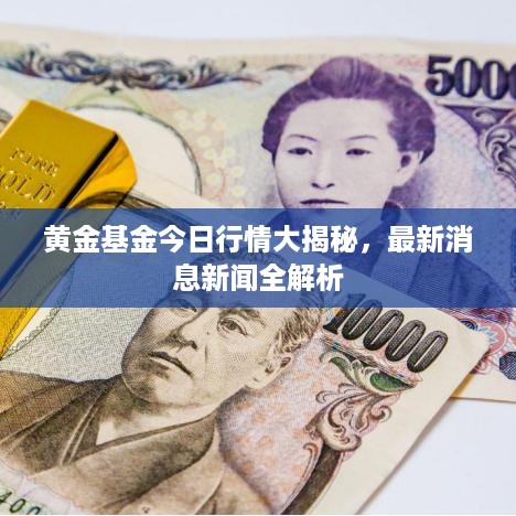 黄金基金今日行情大揭秘，最新消息新闻全解析