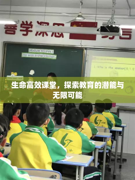生命高效课堂，探索教育的潜能与无限可能