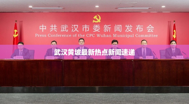 武汉黄坡最新热点新闻速递