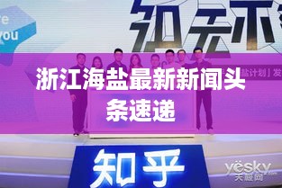 浙江海盐最新新闻头条速递