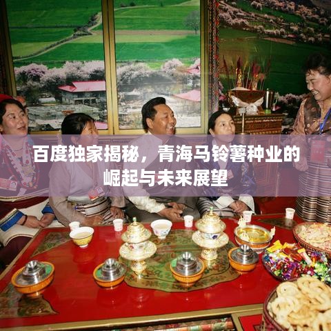 百度独家揭秘，青海马铃薯种业的崛起与未来展望