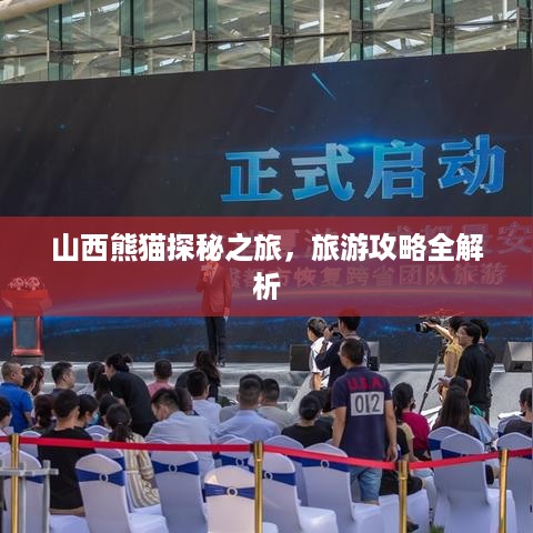 山西熊猫探秘之旅，旅游攻略全解析