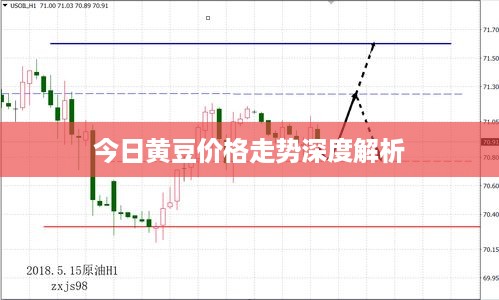 今日黄豆价格走势深度解析