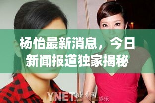 杨怡最新消息，今日新闻报道独家揭秘