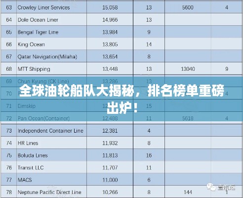 全球油轮船队大揭秘，排名榜单重磅出炉！