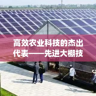 高效农业科技的杰出代表——先进大棚技术