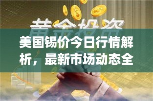 美国锡价今日行情解析，最新市场动态全掌握！