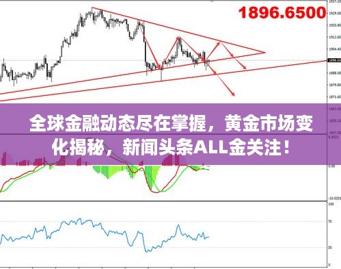 全球金融动态尽在掌握，黄金市场变化揭秘，新闻头条ALL金关注！