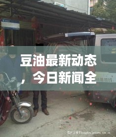 豆油最新动态，今日新闻全解析