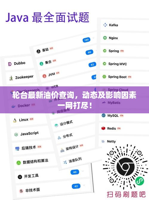 轮台最新油价查询，动态及影响因素一网打尽！