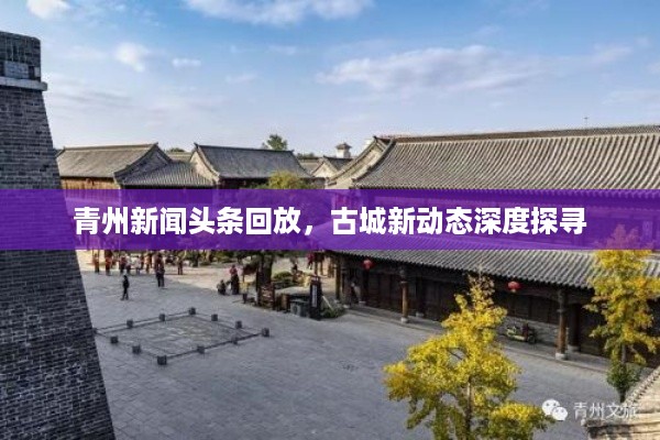 青州新闻头条回放，古城新动态深度探寻