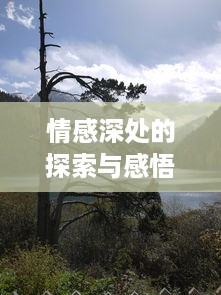 井蛙之见