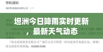 坦洲今日降雨实时更新，最新天气动态
