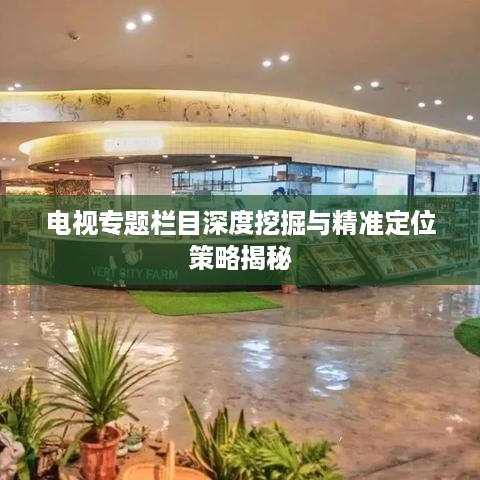 存证 第36页