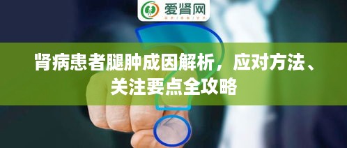 肾病患者腿肿成因解析，应对方法、关注要点全攻略