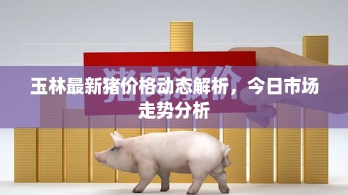 玉林最新猪价格动态解析，今日市场走势分析
