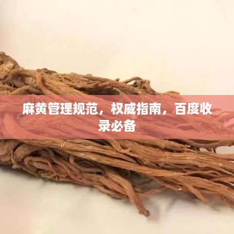 麻黄管理规范，权威指南，百度收录必备