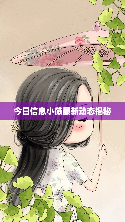 今日信息小薇最新动态揭秘