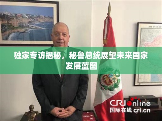 独家专访揭秘，秘鲁总统展望未来国家发展蓝图