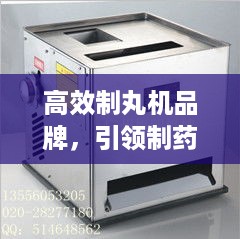 高效制丸机品牌，引领制药工业革新纪元