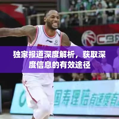 独家报道深度解析，获取深度信息的有效途径