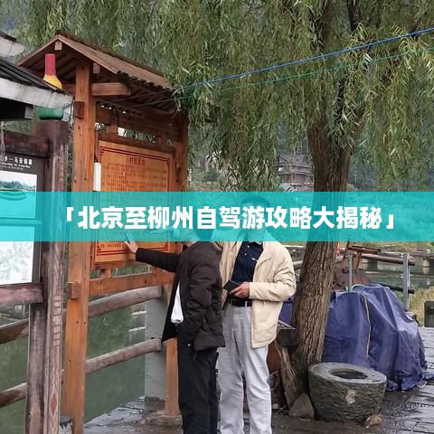 张牙舞爪