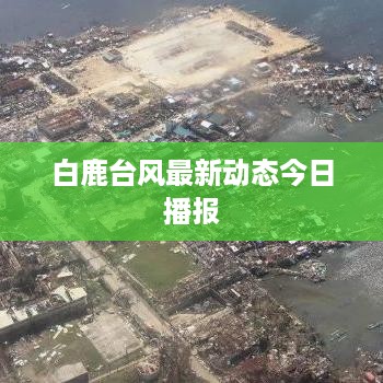 白鹿台风最新动态今日播报