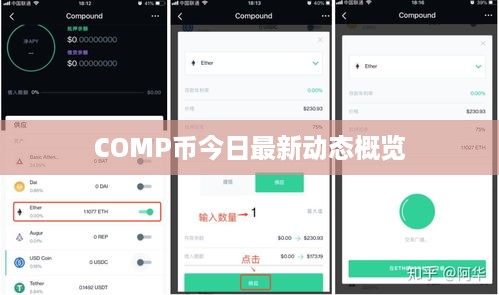 COMP币今日最新动态概览