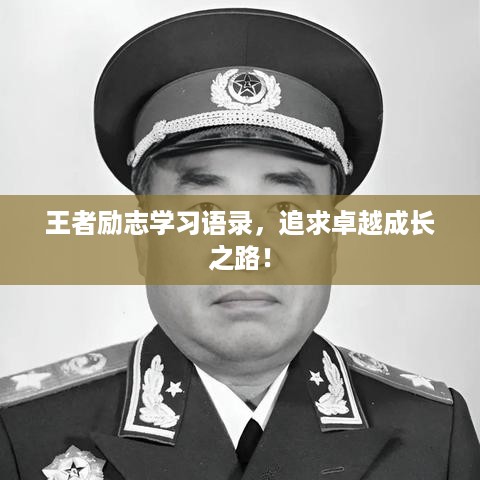 王者励志学习语录，追求卓越成长之路！