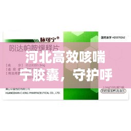 河北高效咳喘宁胶囊，守护呼吸健康，缓解咳喘困扰