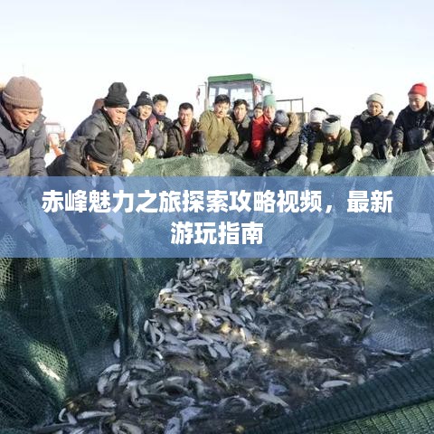赤峰魅力之旅探索攻略视频，最新游玩指南