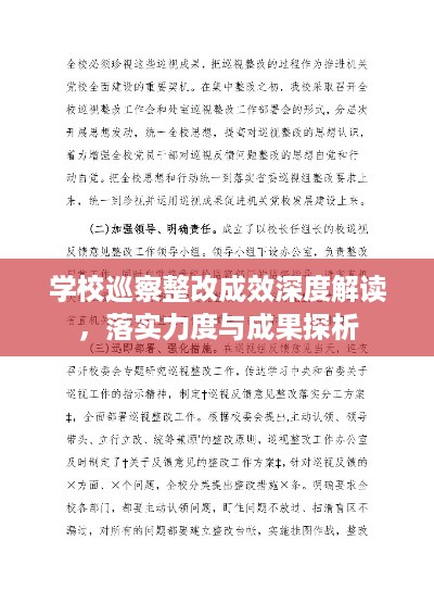 学校巡察整改成效深度解读，落实力度与成果探析