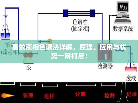 高效液相色谱法详解，原理、应用与优势一网打尽！