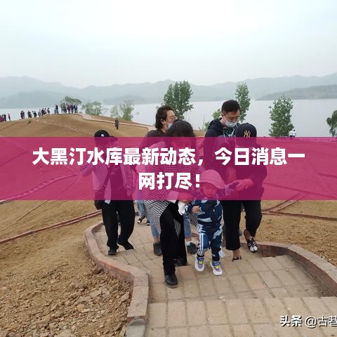 大黑汀水库最新动态，今日消息一网打尽！