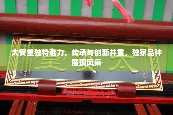 太安堂独特魅力，传承与创新并重，独家品种展现风采