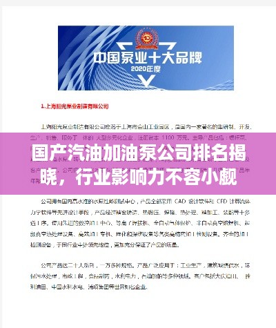 国产汽油加油泵公司排名揭晓，行业影响力不容小觑