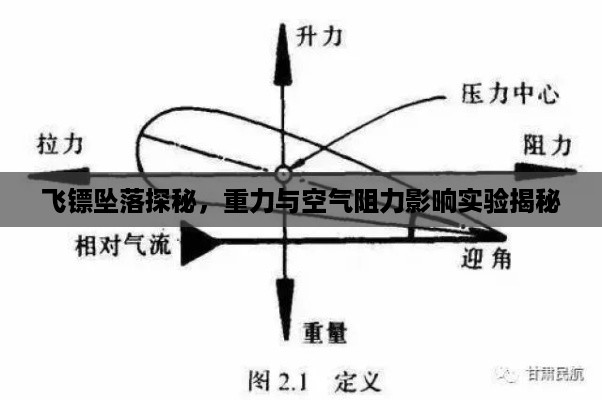 飞镖坠落探秘，重力与空气阻力影响实验揭秘