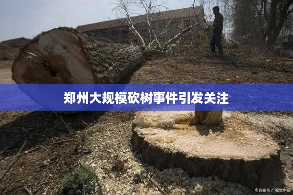郑州大规模砍树事件引发关注