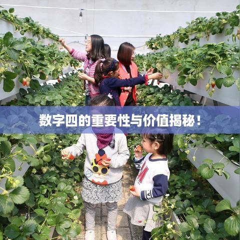 数字四的重要性与价值揭秘！