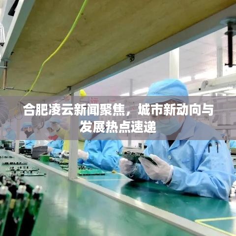 合肥凌云新闻聚焦，城市新动向与发展热点速递
