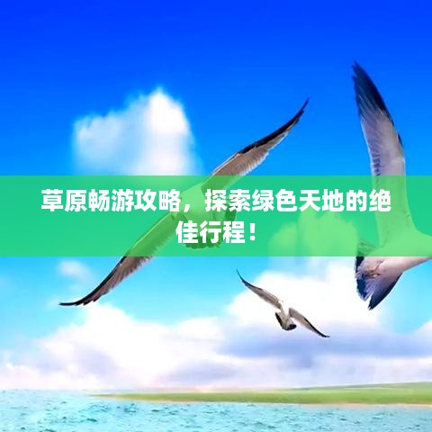 草原畅游攻略，探索绿色天地的绝佳行程！