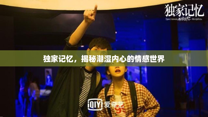 独家记忆，揭秘潮湿内心的情感世界