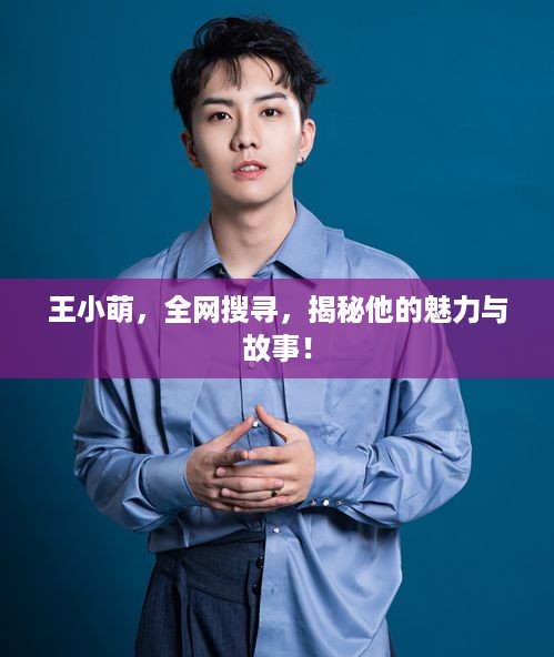 王小萌，全网搜寻，揭秘他的魅力与故事！